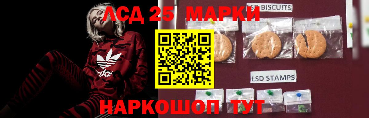 ЛСД экстази ecstasy Можга